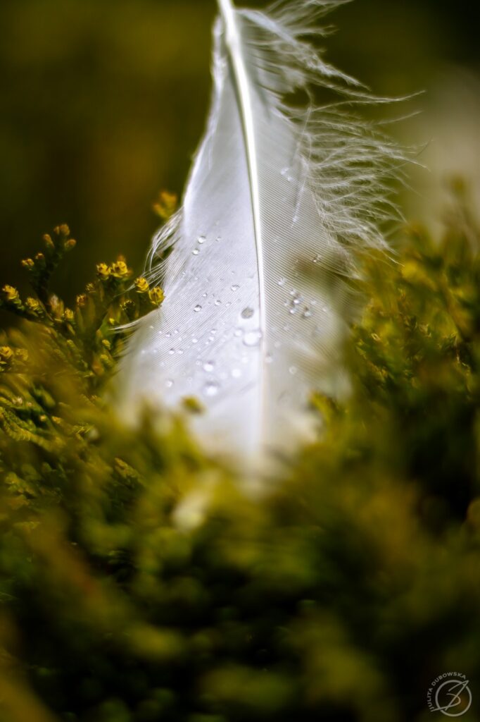 delikatność w seksie, w życiu, w dotyku