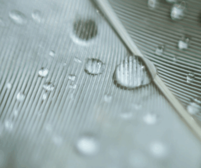 Dotyk i delikatność w seksie i życiu