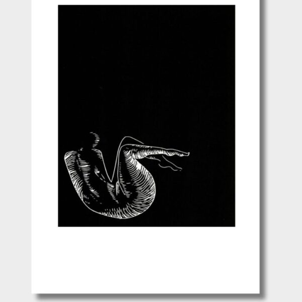 linoryt Katarzyna Smugarzewska Linoryty - Katarzyna Smugarzewska